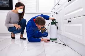 Best Real Estate Pest Inspections  in Marysville, PA